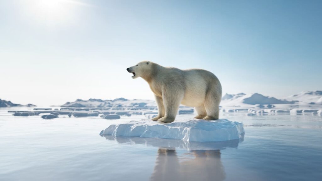 الدب القطبي - أقوى عضة حيوان